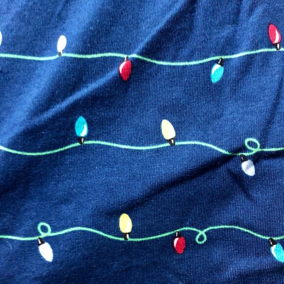 Holiday Family PJs Blue and Grey Holiday Lights 2 Piece Set - Size Small - Picture 16 of 16